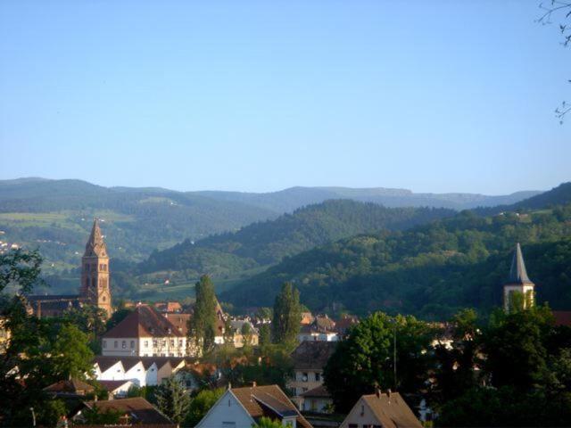 Maison Bellevue Holiday home *